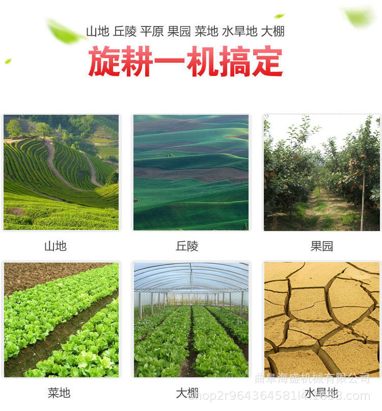 背負(fù)式除草機(jī) (6)