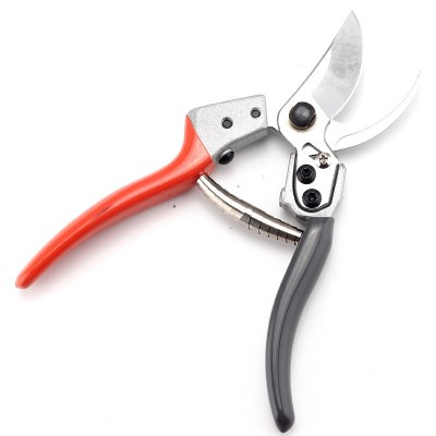 剪枝果樹修枝剪刀園藝園林修花枝剪家用強力剪子神器花剪剪枝剪刀