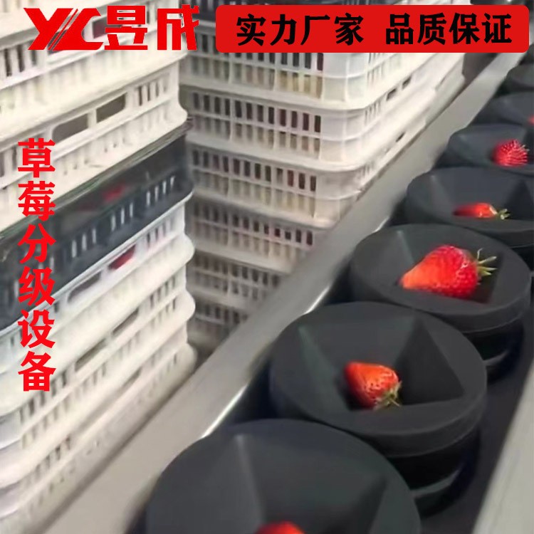 重量糖度 草莓分選機(jī) 西瓜分級(jí)機(jī) 水果分選設(shè)備 自動(dòng)選果機(jī)
