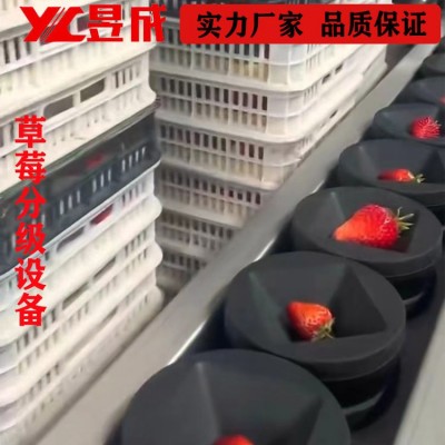 重量糖度 草莓分選機(jī) 西瓜分級(jí)機(jī) 水果分選設(shè)備 自動(dòng)選果機(jī)