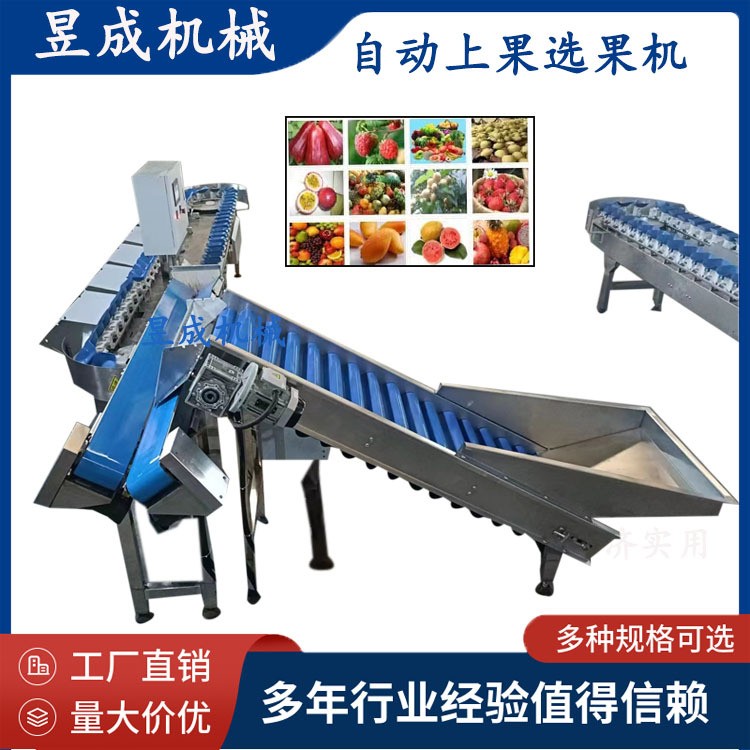 鮮食玉米重量分級(jí)輸送包裝 鮮食玉米加工生產(chǎn)線 自動(dòng)選果機(jī)