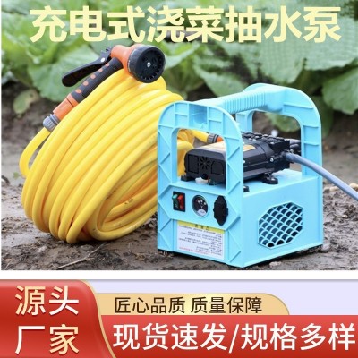 充電式抽水泵手提高壓噴霧農(nóng)用打藥澆菜抽水機(jī)家用洗車澆花沖肥器