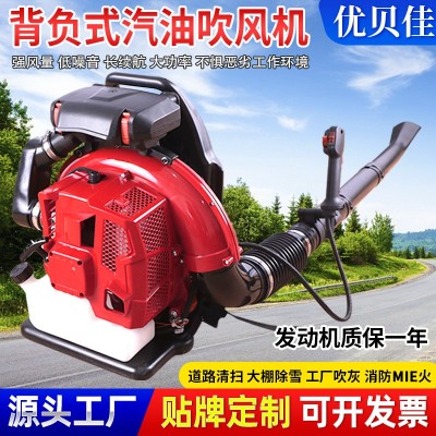 背負式汽油吹風機廠家道路清掃風力滅火機大棚吹雪機落葉清理機