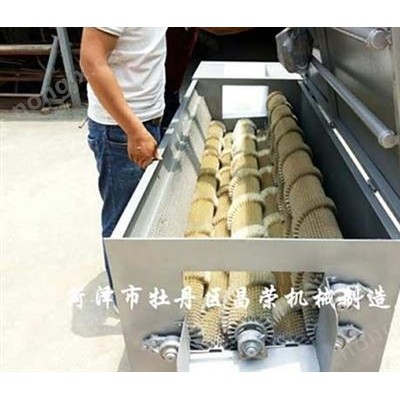 白蘿卜清洗機13