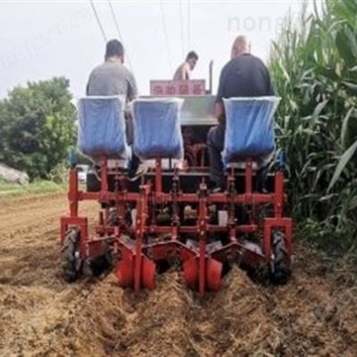 新型藥材移栽機