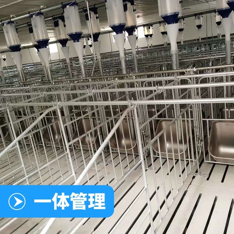 落地式復合板母豬限位欄 熱鍍鋅加厚保育養殖豬用可定制