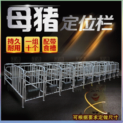 養殖場用 厚熱鍍鋅管大架厚鋼板食槽子落地母豬定位欄限位欄 工廠