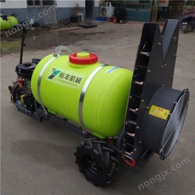 果樹打藥機(jī) 果園噴霧機(jī)*