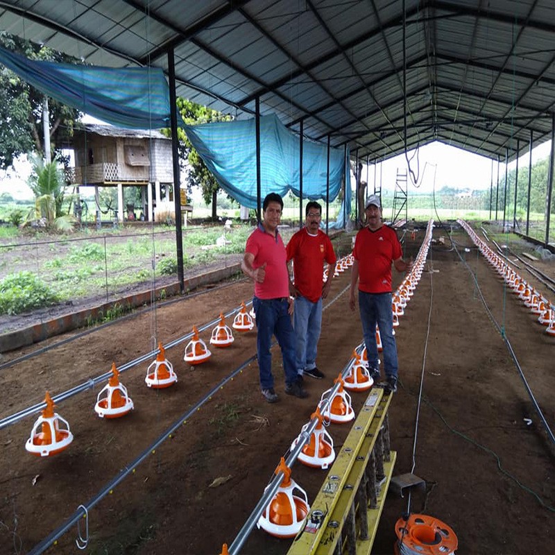 自動料線 平養(yǎng)雞自動料線 散養(yǎng)肉雞料線 雞自動喂料設(shè)備鴨子鵝料