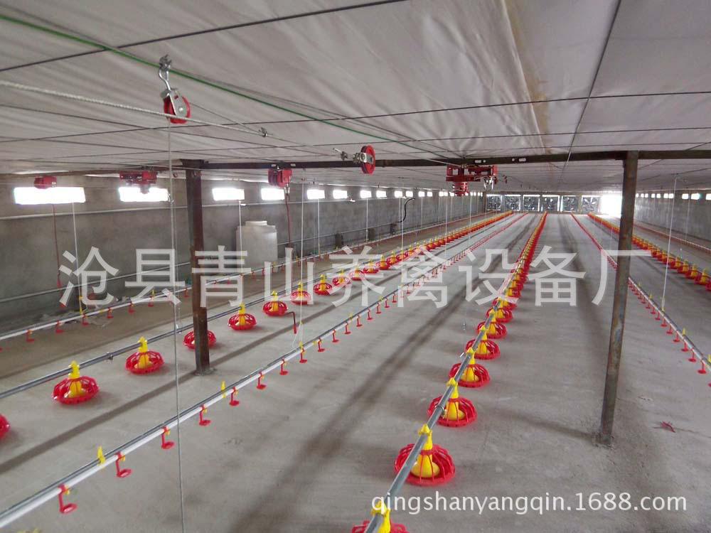 供應(yīng)養(yǎng)雞料線(xiàn) 全自動(dòng)養(yǎng)雞料線(xiàn) 肉雞養(yǎng)殖設(shè)備 平養(yǎng)雞料線(xiàn) 水線(xiàn)