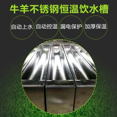 牛羊養殖場不銹鋼恒溫飲水槽 自動加水飲水器