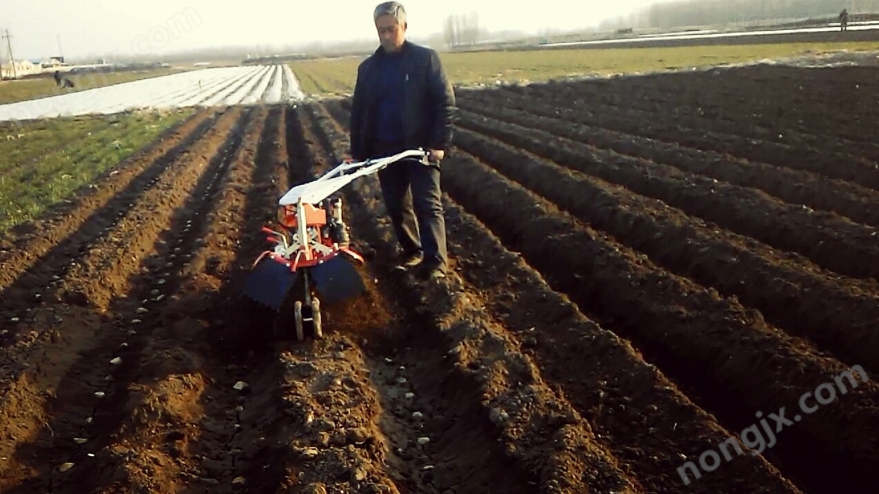土豆開溝起壟機