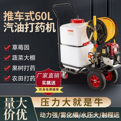 汽油打藥機(jī)手推式電動打藥機(jī)消毒養(yǎng)殖場專用農(nóng)用高壓四沖程噴霧器