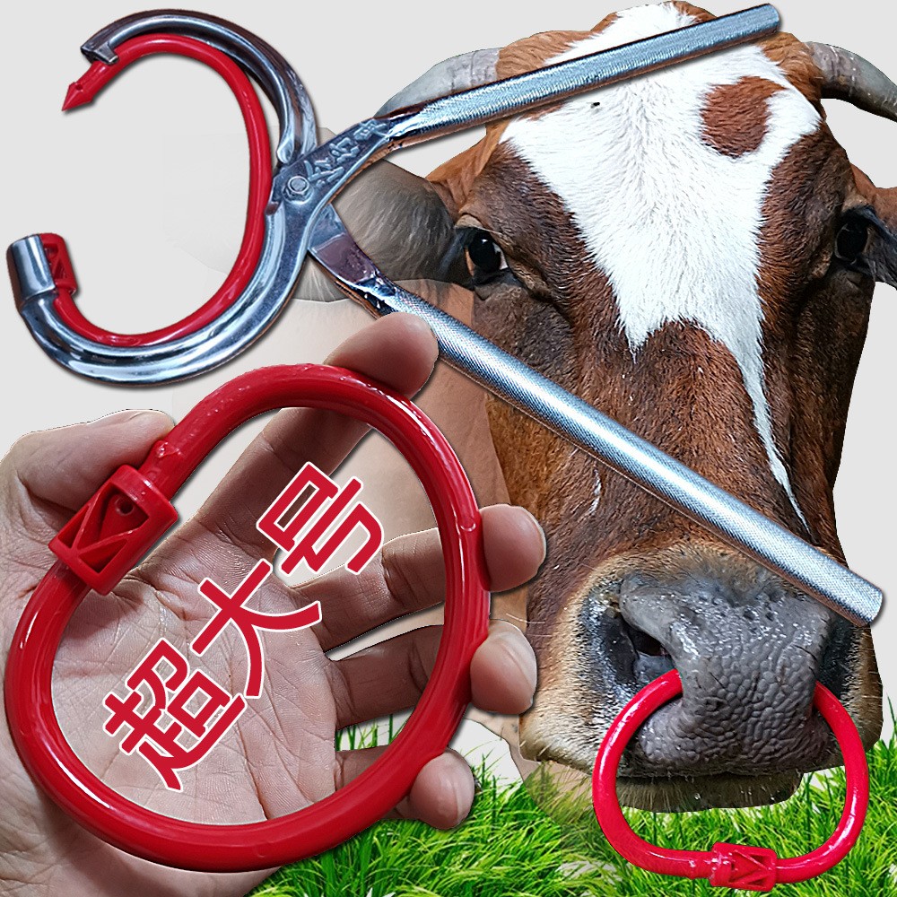 廠家直銷特大號養牛器械設備 牛鼻環牛鼻圈 牛鼻鉗子穿孔打孔鉗子