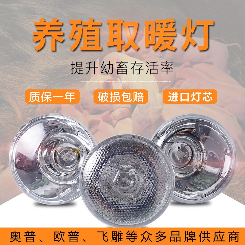 藍鳥養殖專用取暖燈小雞仔豬仔育雛獸用加熱烤燈設備加厚保溫燈泡