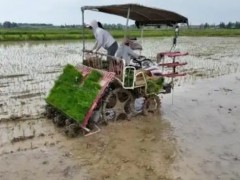 農(nóng)機(jī)“加速跑” 田野“煥新顏”