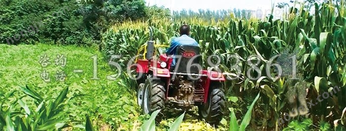 放堆式玉米收割機(jī)