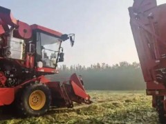 濰坊“三秋”保障、農機作業、烘干點、履帶式收獲機信息一覽
