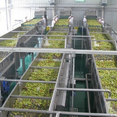 恒立宇 不銹鋼食品級 芒果汁加工設備 原漿生產線 1T-10T/H