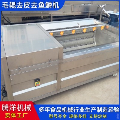 果蔬清洗機 香菇毛輥清洗設備 土豆紅薯去皮機 不銹鋼清洗設備