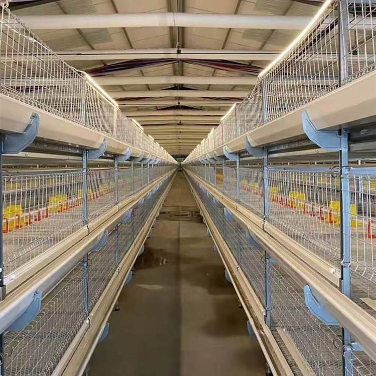 肉雞籠養(yǎng)設備全自動肉雞籠養(yǎng)雞設備 養(yǎng)殖場可用管理方便