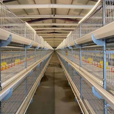 肉雞籠養設備全自動肉雞籠養雞設備 養殖場可用管理方便