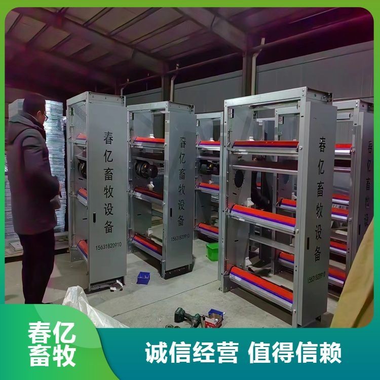 定制層疊式雞籠養(yǎng)殖設備 四層養(yǎng)雞場全自動蛋雞籠 源頭廠家