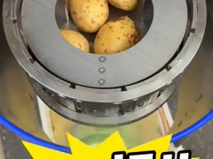 離心式刨絲機(jī)，瞬切土豆片，每小時(shí)可加工3000kg#食品機(jī)械設(shè)備