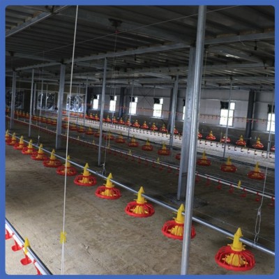 養雞水線 喂養設備 不易變形 發貨較快 拆裝簡便