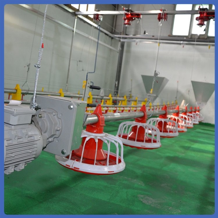 雞料線 養殖飼喂設備 拆洗方便 緊湊合理 用材優良