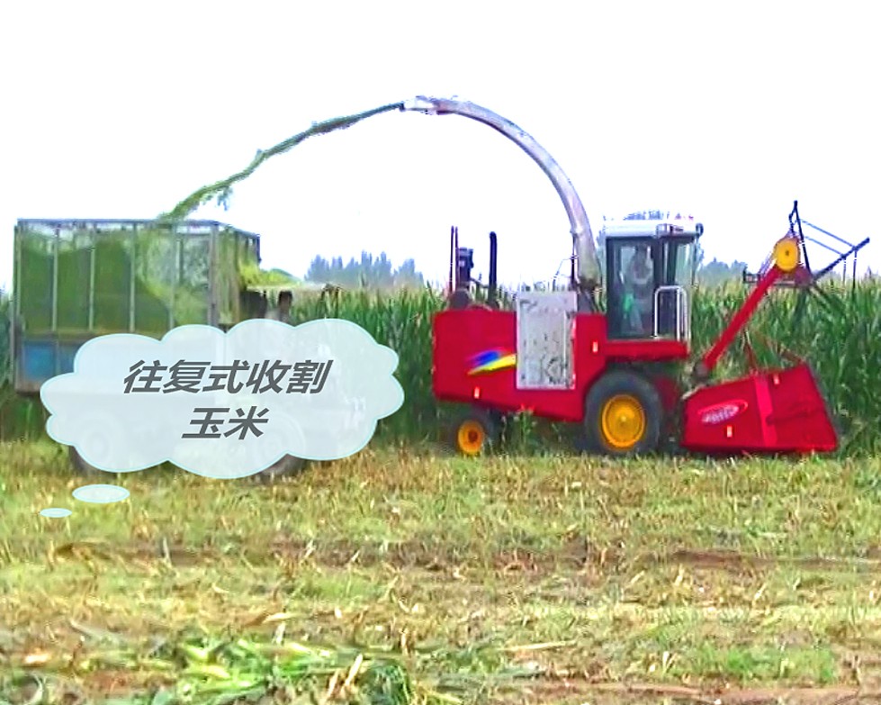 往復式收割玉米_看圖王 往復式收割玉米_看圖王.jpg